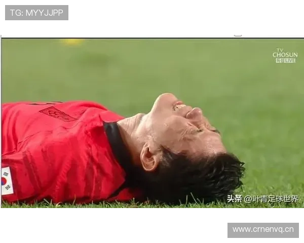 孙兴慜家冰箱里塞满泡菜，训练完回家第一件事是给狗顺毛